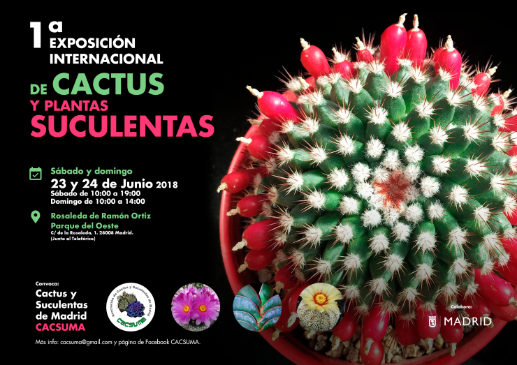 1ª exposición cacsuma cartel A3