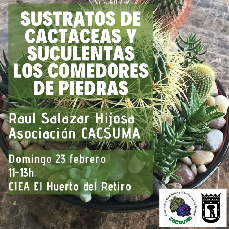 SAVE_20200212_243645